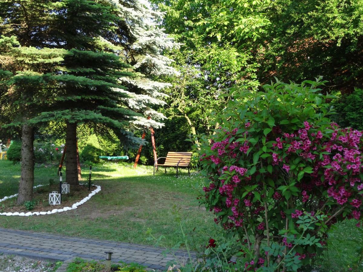 Dom Goscinny Przedmiescie Kielce Dış mekan fotoğraf